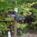 성만농장 이미지