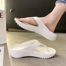 제이에스 소프트 이미지