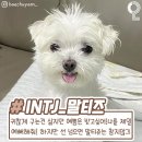 가랭이 화장실 이미지