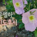 24. 9. 15(주일) 사무엘하 11장, 고린도후서 4장 이미지