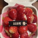 코코로팡 이미지