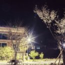 곰배령펜션 휴림 이미지