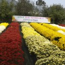 추계진료소 이미지