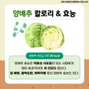 라반휘트니스 이미지