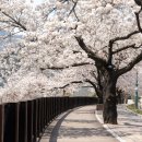 잠원검도관 이미지