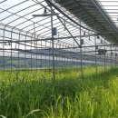 한전농장 이미지