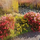 서구청 옥상생태공원 이미지