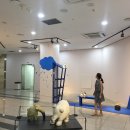 철광산 공연장 이미지