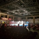 구룡복싱클럽 이미지