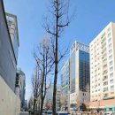 척바른신경외과의원 티스토리