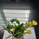 금리마을펜션 이미지