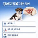 판교 P&P 동물병원 이미지