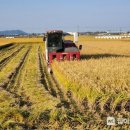 농민유통 이미지