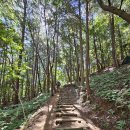 거제 덕포마을.남파랑길.동산.빽.장등산.빽.삼각산.하덕마을 9.6km3시간40분 이미지