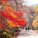 청덕면사무소 이미지