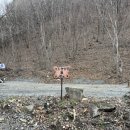 한마음오토캠핑장 이미지