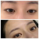 리쌀롱 | 영등포속눈썹 영틀리에 LED 펌포인트연장 후기｜유지력·자연스러움 끝판왕