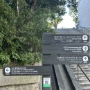 안정순환로 | [서울/남산] 북측순환로 러닝 코스 1회전 후기 &amp; 가는 길·샤워장 등 총정리