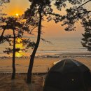 장구도 어촌계 | 태안오토캠핑장 꾸지나무골 캠핑장