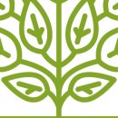 주식회사 바른팜 이미지