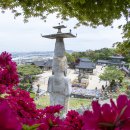 25년5월8일 논산(탑정호 출렁다리, 션샤인랜드, 관촉사 은진미륵), KBS 만남의숲 07시 출발 , 회비 60,000원 이미지