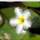 용담광택 이미지