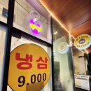 도니조아 이미지