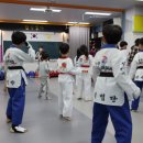 동탄 경희대 태권도장 이미지