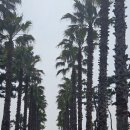 표선해변 인증센터 이미지