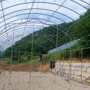 반하우스 이미지