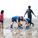 화성 궁평리어촌체험휴양마을 경기인터넷신문