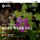 노노레타 | 단상(斷想) 440. 블로그 활동 중간 점검