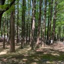 문화예술공원서리풀노리학교 이미지