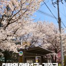 평창4교 - 평창군 | 평창4교