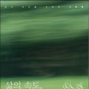 김남희 카카오 검색결과