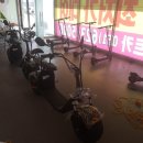 삼륜 카 모터스 | 부산전기스쿠터대여,부산전기스쿠터/ 전기차를 저렴하게 대여할수있는곳 [타보소렌트카]