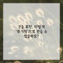 포유피티스튜디오 일광점 이미지
