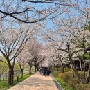 옛길공원 화장실 이미지