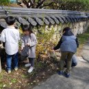 김밥학교 이미지
