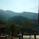 욱일농원 이미지