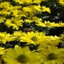 정이안한의원 이미지