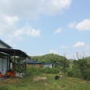 와룡농원 이미지