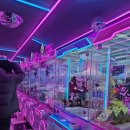 봉봉 스테이션 이미지