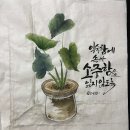 림캘리앤아트