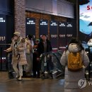 묘안