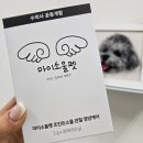 로이병원 | 반려견 슬개골 탈구, 완제품 도착! 마이소울펫 조인트소울 영양제 로이&amp;체험단 반응,후기(와디즈오픈예정)