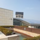 파라다이스목욕탕 이미지