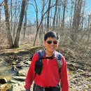 2026년 02월 28일 - Trumbo Hollow Trail (Jim and Molly Denton Shelter) 이미지