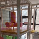 메이풀 | 대부도독채펜션 메이풀 가격 위치 이벤트