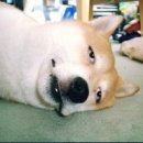 창원축구센터 이미지